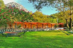 Likya Adrasan, Adrasan