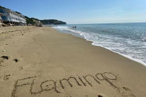 Flamingo Guest House, Pitsunda