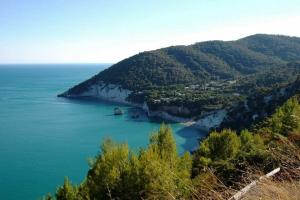 B&B Matinèe, Mattinata