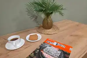 Slon Mini Hotel, Pyatigorsk