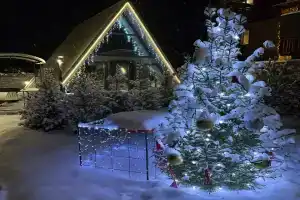 Delight Camping, Sosnovoborsk