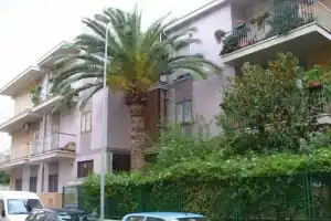 Gatto Bianco Picone 19, Bari