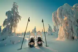 Santa's Igloos Arctic Circle, Rovaniemi