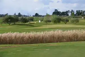 Golf Club Metaponto, Metaponto