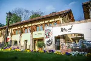 Imola Udvarhaz Hotel, Eger