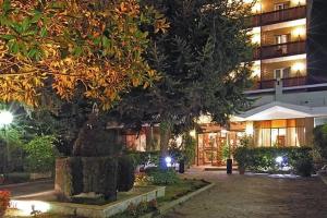 Pinewood Hotel Rome, Rome