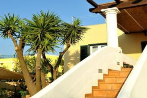 Il Leone di Mare, Procida Island