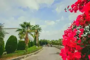 Altinkaya Holiday Resort, Kyrenia