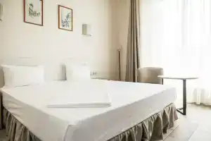 Central Inn Conference Hotel, Stavropol