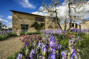 Borgo Del Cabreo, Greve in Chianti