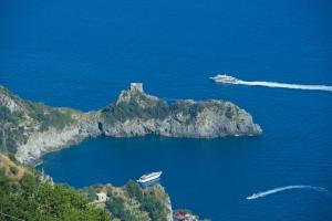 La Mela Blu, Furore