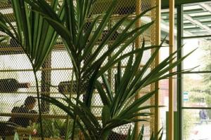 Iliria Boutique Hotel, Tirana