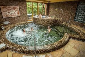 Laroba Wellness Hotel, Alsoors