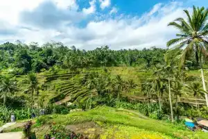 Gayatri, Ubud