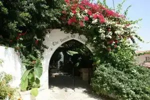 The Bunch Of Grapes Inn, Pissouri