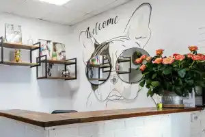 Mini Hotel Mango, Kazan