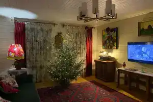 Brusnika Guest house, Suzdal