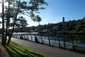 The Kingsley, Cork