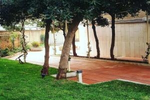 B&B Parini, Cassino