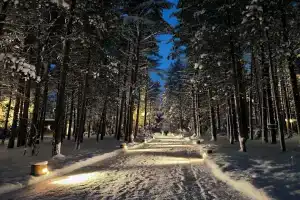 Park Shishkin Tourist base, Kerro