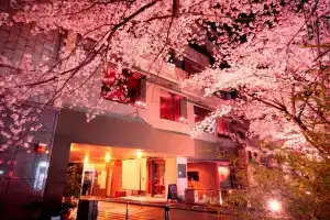 Bijuu, Kyoto