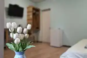 Simona Guest house, Pitsunda