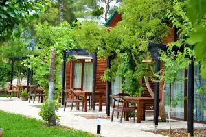 Koala Bungalows, Olympos