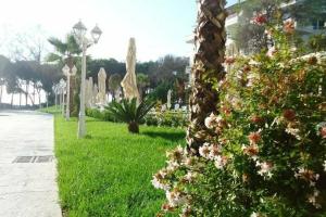 Sandy Beach Resort, Golem