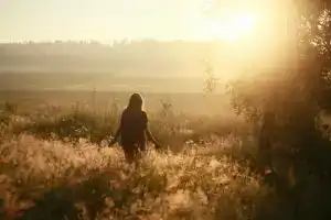 Ruza Forest Hotel, Nesterovo