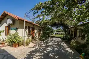 Midas Pension, Dalyan