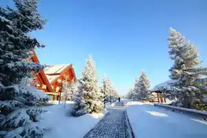 Alpijskie Doma Hotel, Savino