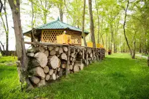 Andreevskiy park Tourist base, Dinskaya
