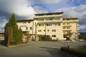 Hotel Engelhorn, Leimen