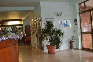 Hotel Citti, Arzachena