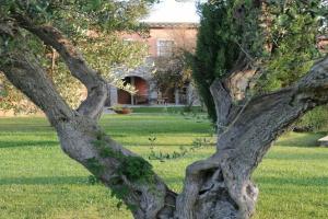 Relais Le Ginestre, Saturina
