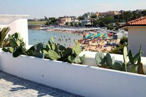 La Bella Trani, Trani