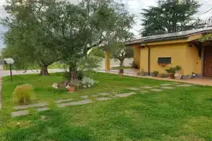 L'Antico Vigneto, Marino
