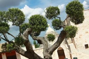 B&B Fiano Marchione, Castellana Grotte