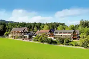 Hotel Grüner Wald, Freudenstadt