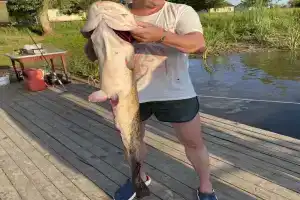 Ekousad'ba "Zamaniha" Tourist base, Karaulnoye