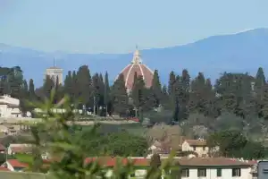 L'Ulivo Chiantigiana 115, Florence