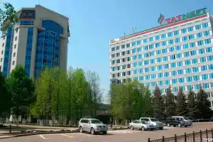 Business Hotel Neftyanik na Tolstogo