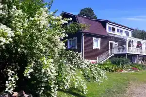 Gostevoy Kompleks Sosny Guest house, Ilya Uksu