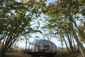 Amore More Glamping, Lazurnyy