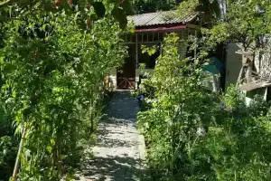 Sosnovy Dvor Guest house, Olginka