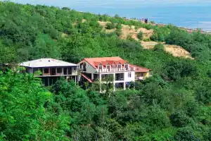 Favourite, Sighnaghi