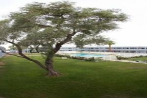 EZ 8 Motel Airporter, Phoenix