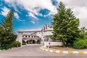 The Olive Tree Hotel