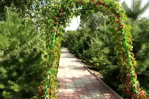 Sanatorium "Ryabinushka", Grachyovka