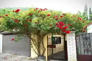 Kastel Private house, Lazurnoye